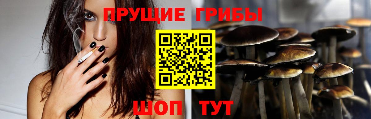 Петровск  Псилоцибиновые грибы мицелий  Галлюциногенные грибы Psilocybine cubensis  Вход с VPN 